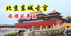 大几巴肏美屄中国北京-东城古宫旅游风景区